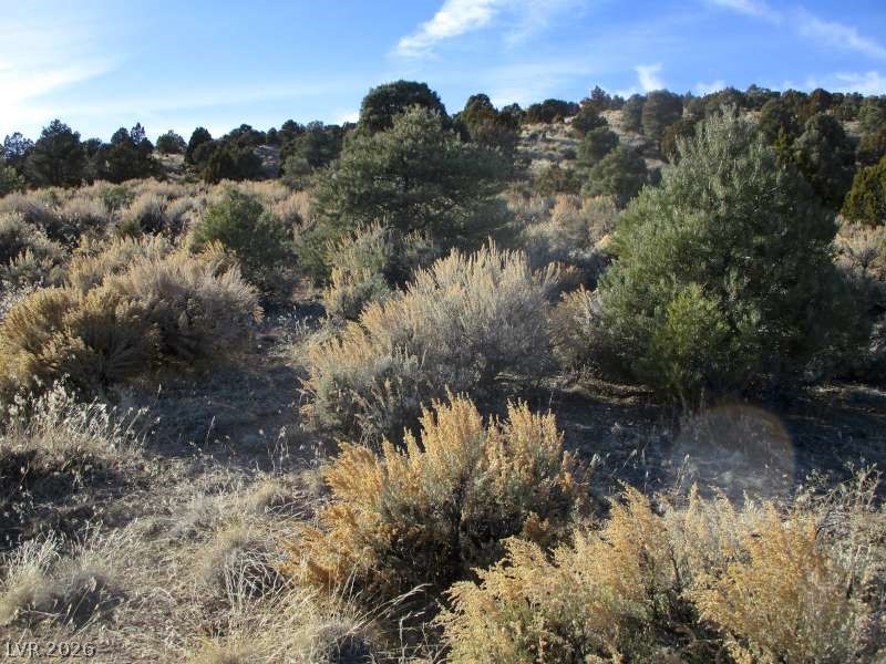 NV Hwy 322 (10.012 Ac)