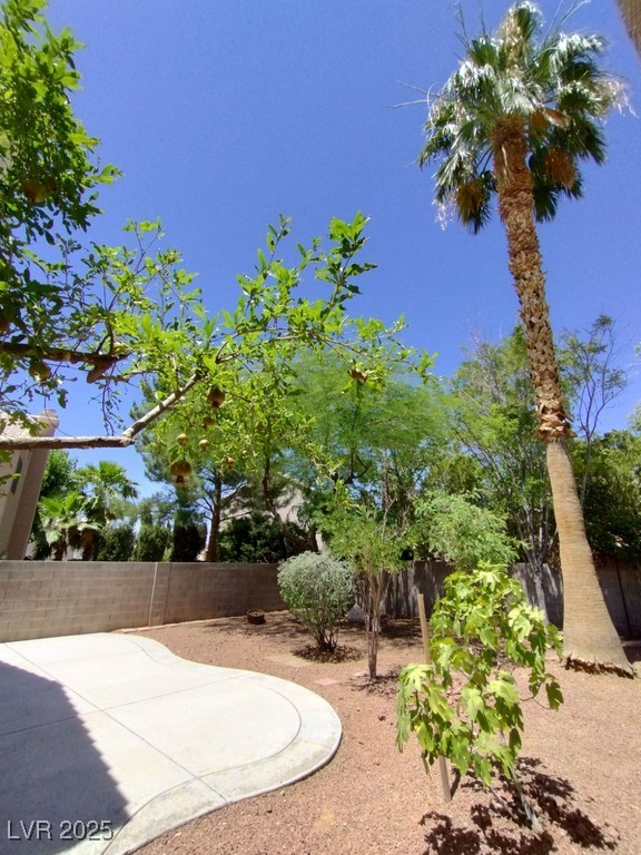 326 Lander Drive, Henderson, Nevada image 27