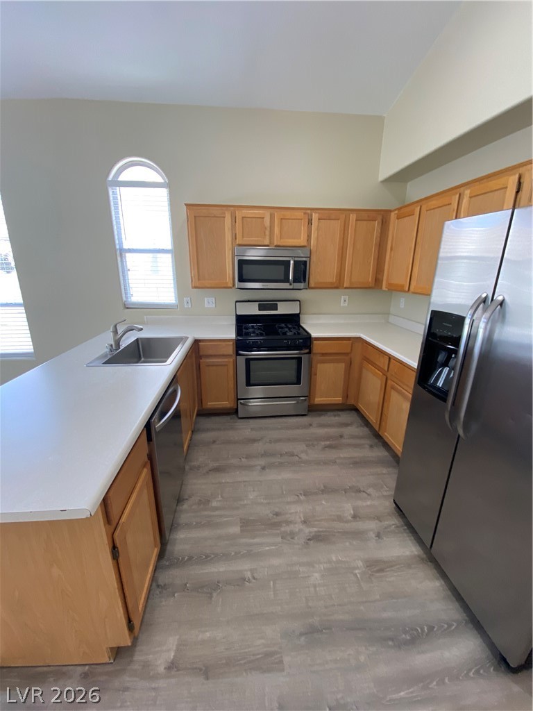 824 SPARKLE RAY Avenue