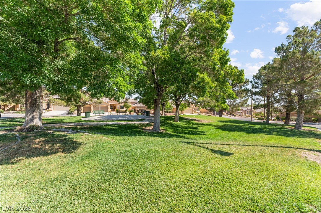 11209 Dell Cliffs Court