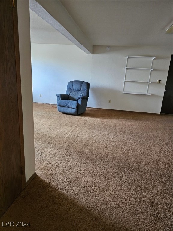 1610 Shadscale Court, Tonopah, Nevada image 30