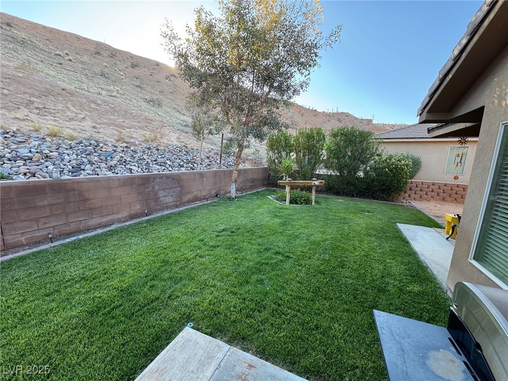 574 Desert Tortoise Way, Mesquite, Nevada image 22