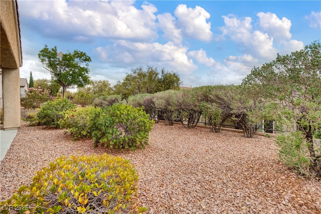 2343 Galilean Moon Street, Henderson, Nevada image 35