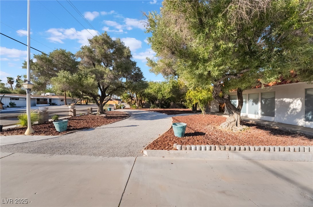 909 Cashman Drive