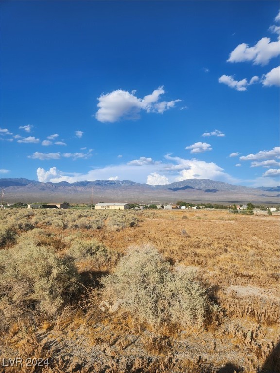 Moapa Valley & Jones, Overton, Nevada image 2