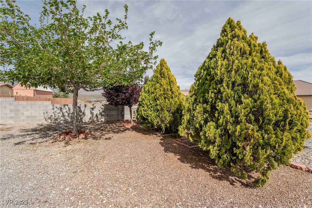 640 Capa Lane, Pahrump, Nevada image 5