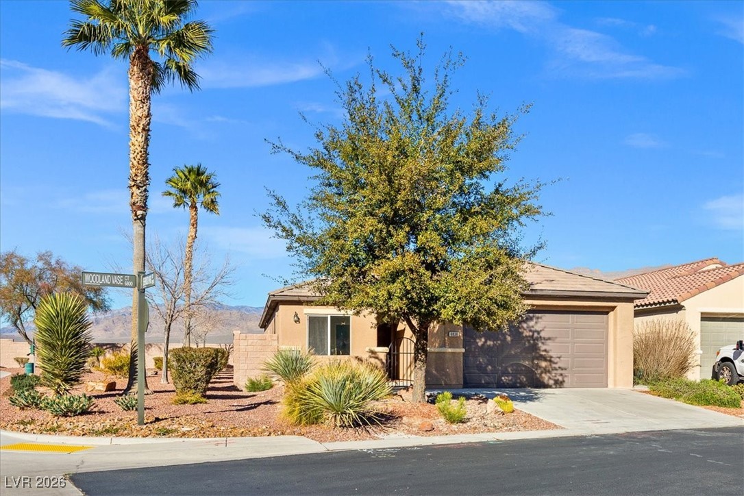 6836 Woodland Vase Court