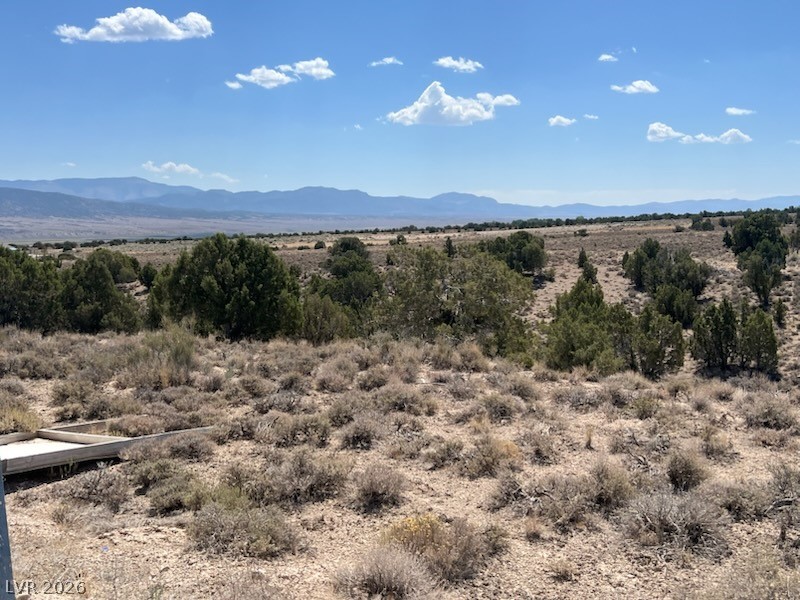 Photo 1 of 4 — Pinyon Pine, Ely, NV 89301