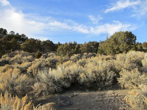 NV Hwy 322 (9.86 Ac) Pioche NV 89043