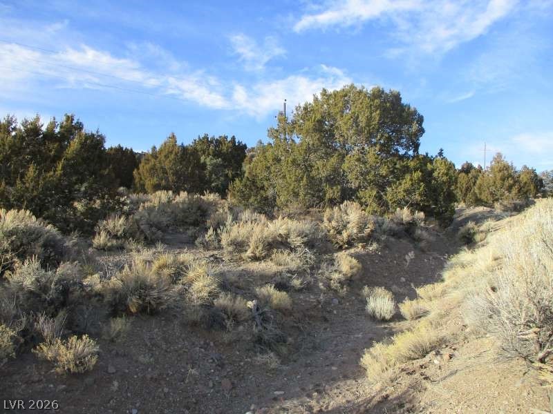 NV Hwy 322 (9.86 Ac)