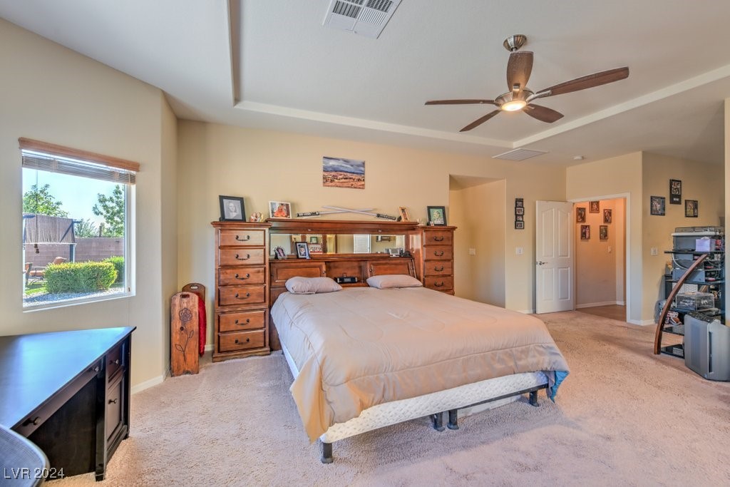 4340 La Romita Street, Pahrump, Nevada image 10