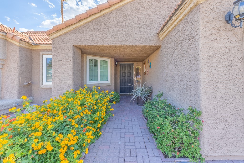 155 Fallon Drive