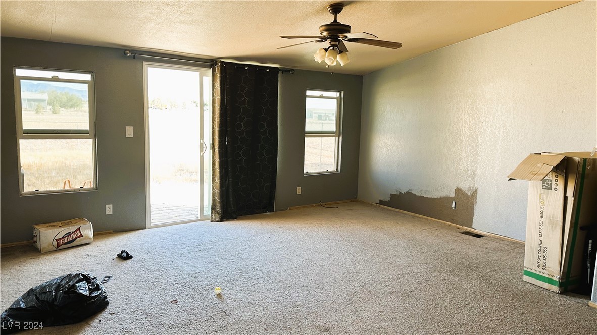 1321 Meier Drive, Pahrump, Nevada image 25