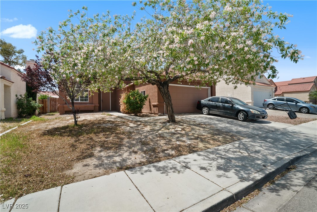 619 Zalataia Way