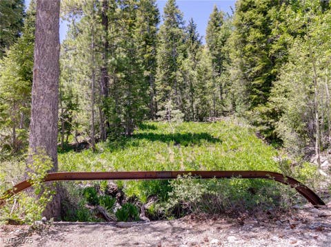Tiny photo for 4075 Cougar Ridge Trail, Mount Charleston, NV 89124 (MLS # 2741992)