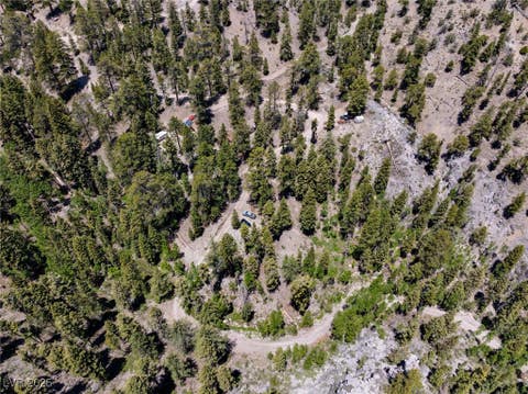 Tiny photo for 4075 Cougar Ridge Trail, Mount Charleston, NV 89124 (MLS # 2741992)