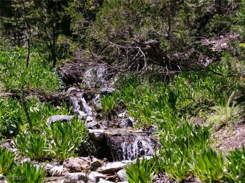Tiny photo for 4075 Cougar Ridge Trail, Mount Charleston, NV 89124 (MLS # 2741992)