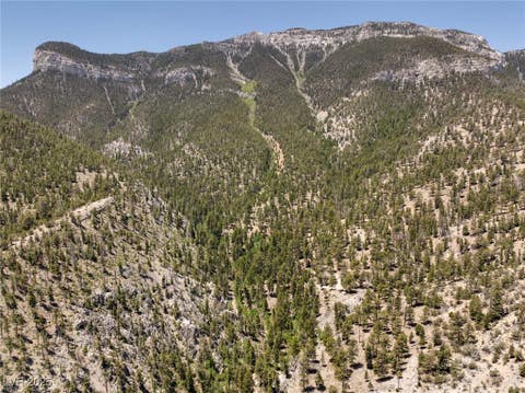 Tiny photo for 4075 Cougar Ridge Trail, Mount Charleston, NV 89124 (MLS # 2741992)