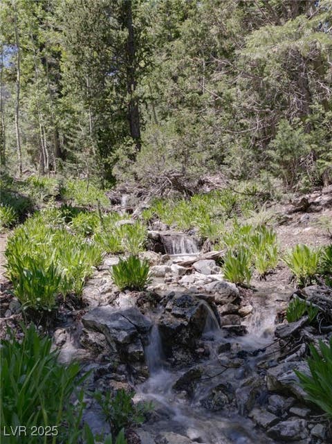 Tiny photo for 4075 Cougar Ridge Trail, Mount Charleston, NV 89124 (MLS # 2741992)