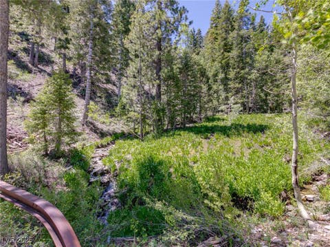 Tiny photo for 4075 Cougar Ridge Trail, Mount Charleston, NV 89124 (MLS # 2741992)
