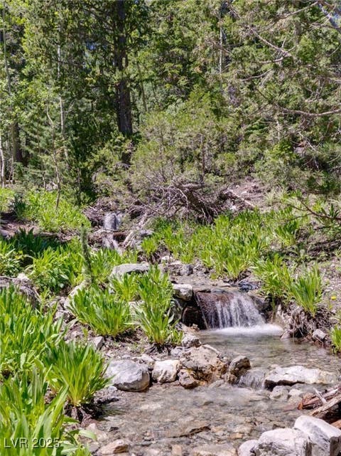 Tiny photo for 4075 Cougar Ridge Trail, Mount Charleston, NV 89124 (MLS # 2741992)