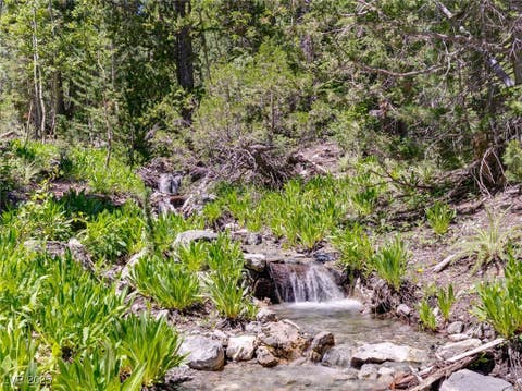 Tiny photo for 4075 Cougar Ridge Trail, Mount Charleston, NV 89124 (MLS # 2741992)