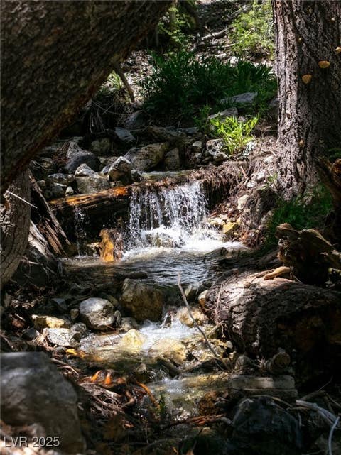 Tiny photo for 4075 Cougar Ridge Trail, Mount Charleston, NV 89124 (MLS # 2741992)