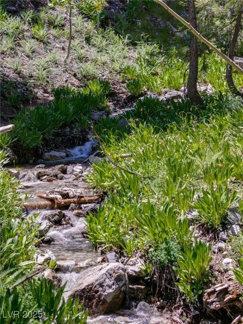 Tiny photo for 4075 Cougar Ridge Trail, Mount Charleston, NV 89124 (MLS # 2741992)