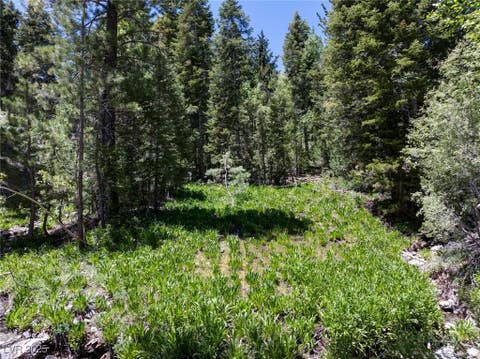 Tiny photo for 4075 Cougar Ridge Trail, Mount Charleston, NV 89124 (MLS # 2741992)