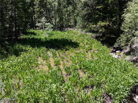 Tiny photo for 4075 Cougar Ridge Trail, Mount Charleston, NV 89124 (MLS # 2741992)