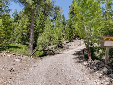 Tiny photo for 4075 Cougar Ridge Trail, Mount Charleston, NV 89124 (MLS # 2741992)
