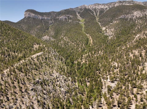 Tiny photo for 4075 Cougar Ridge Trail, Mount Charleston, NV 89124 (MLS # 2741992)