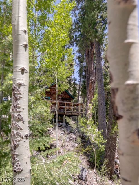 Tiny photo for 4075 Cougar Ridge Trail, Mount Charleston, NV 89124 (MLS # 2741992)