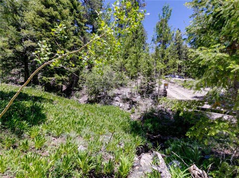 Tiny photo for 4075 Cougar Ridge Trail, Mount Charleston, NV 89124 (MLS # 2741992)