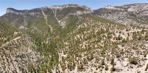 Tiny photo for 4075 Cougar Ridge Trail, Mount Charleston, NV 89124 (MLS # 2741992)