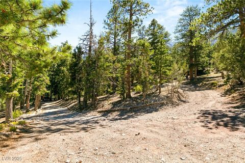 Tiny photo for 4075 Cougar Ridge Trail, Mount Charleston, NV 89124 (MLS # 2741992)