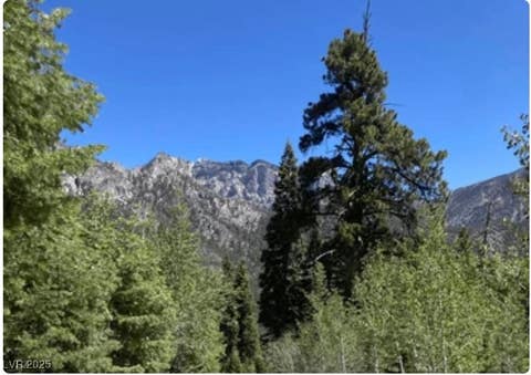 Tiny photo for 4096 Tyrol Way, Mount Charleston, NV 89124 (MLS # 2732516)
