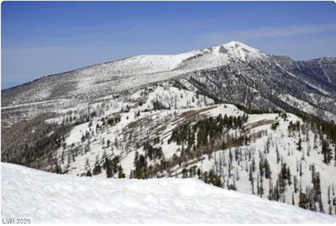 Tiny photo for 4096 Tyrol Way, Mount Charleston, NV 89124 (MLS # 2732516)