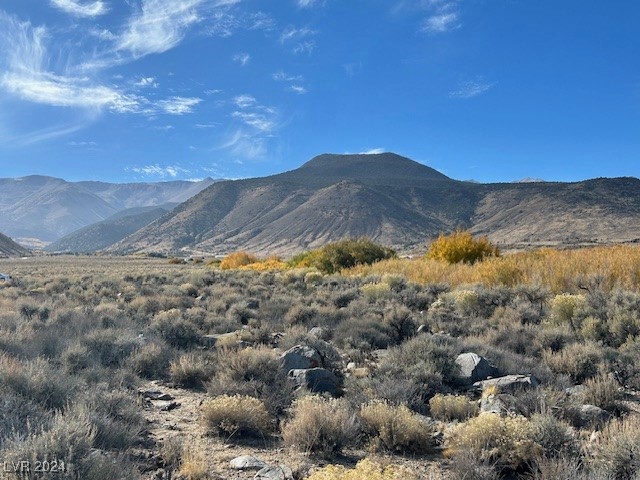 700 Davis Meadow Trail, Dyer, Nevada image 2