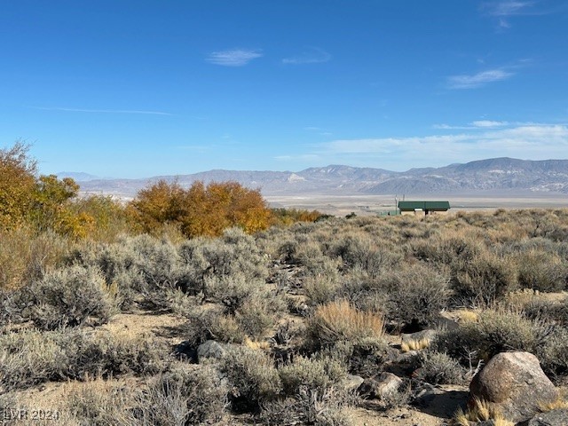700 Davis Meadow Trail, Dyer, Nevada image 7