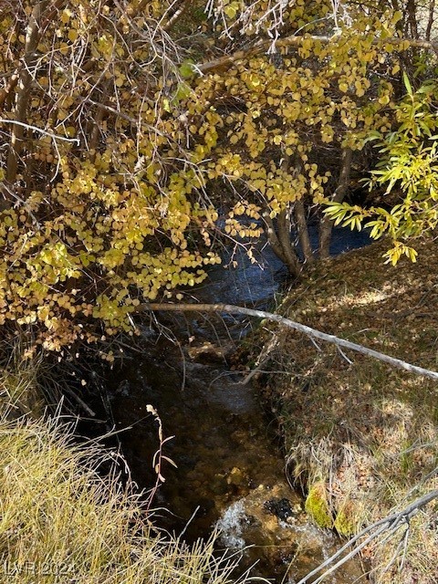 700 Davis Meadow Trail, Dyer, Nevada image 4