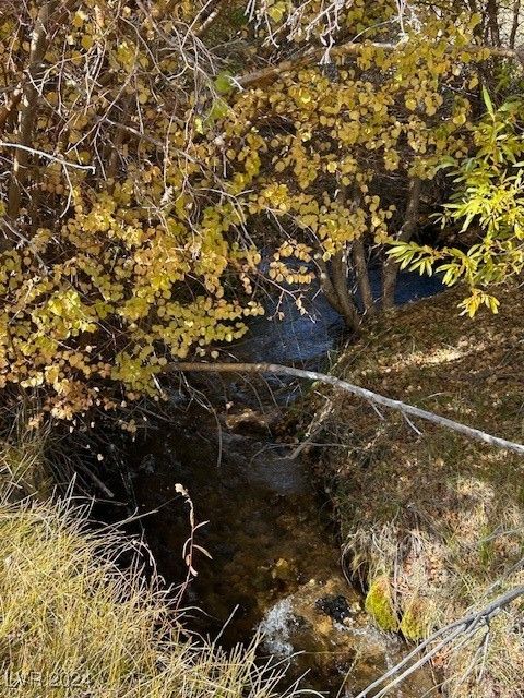 Vacant Land For Sale - 700 Davis Meadow Trail<br/> Dyer, NV 89010