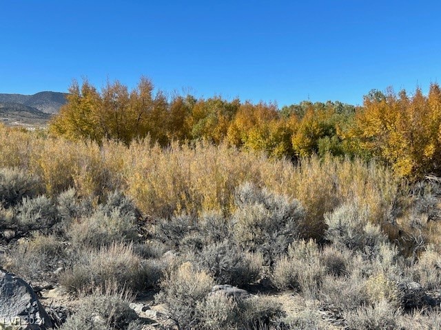 700 Davis Meadow Trail, Dyer, Nevada image 3