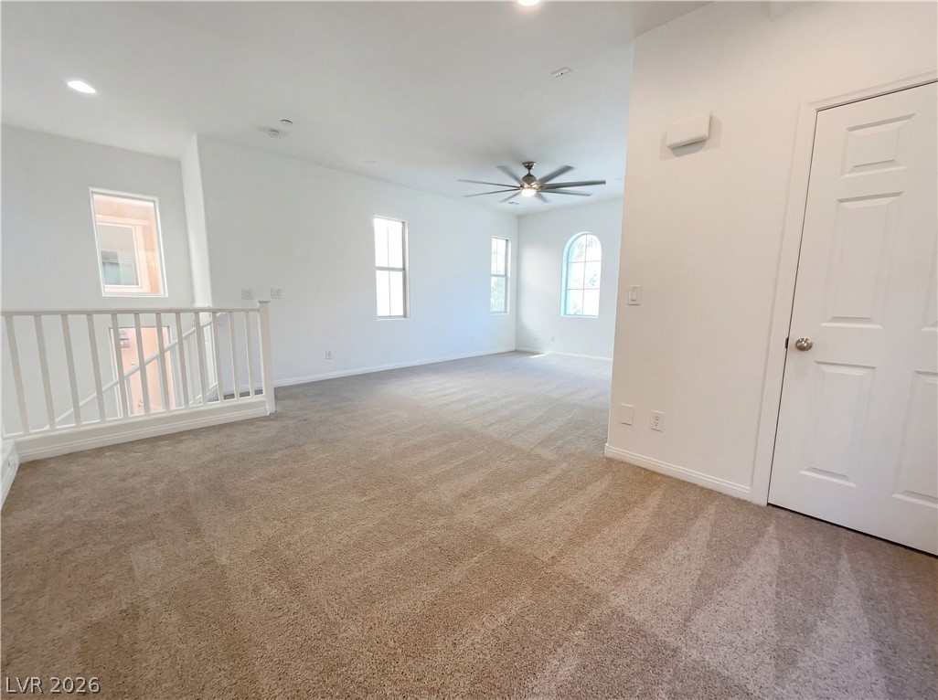 6641 Colorado Spruce Street