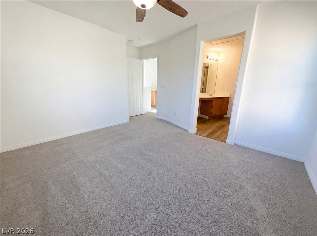 6641 Colorado Spruce Street