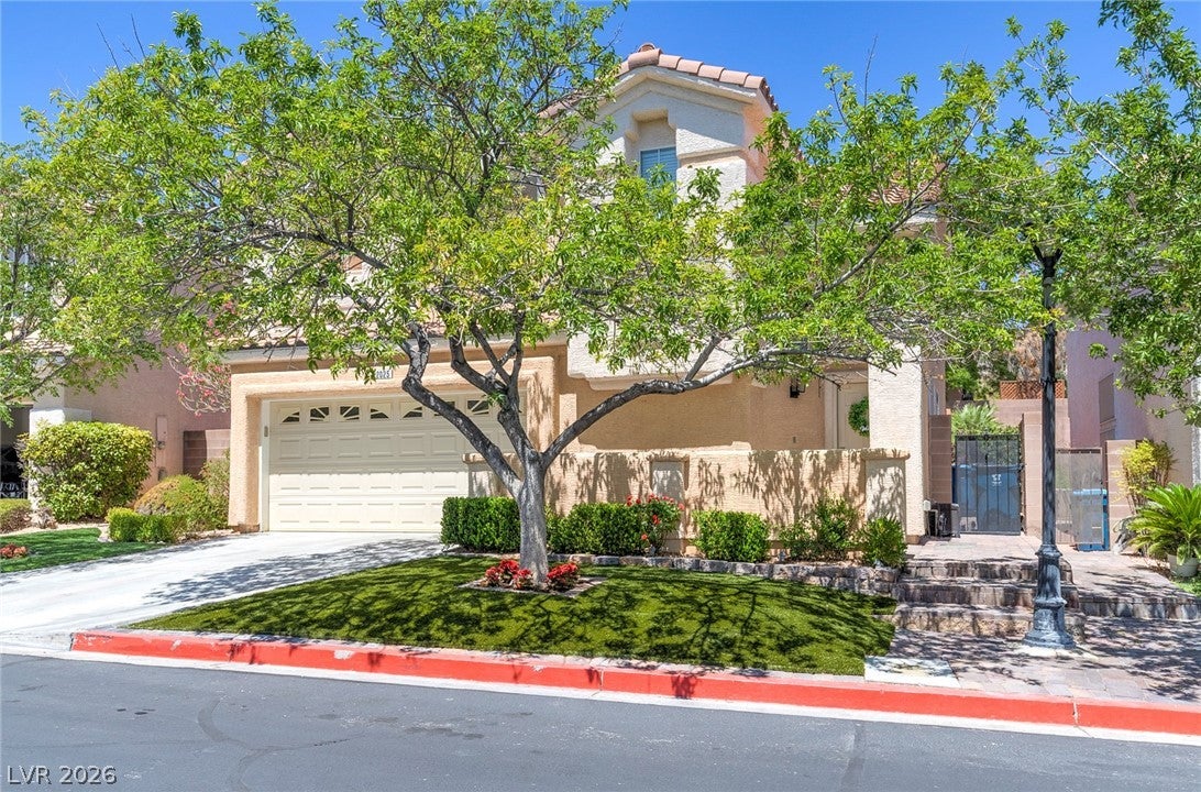2025 Shining Feather Lane