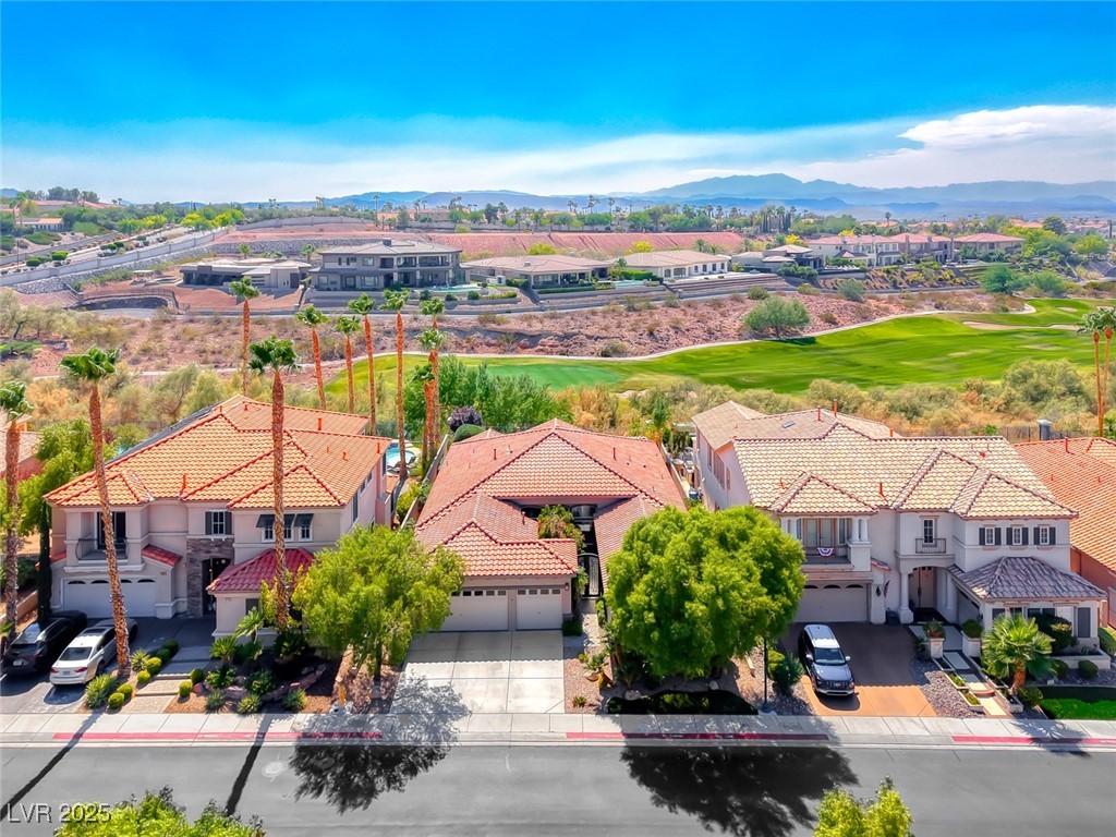 1311 Panini Drive
