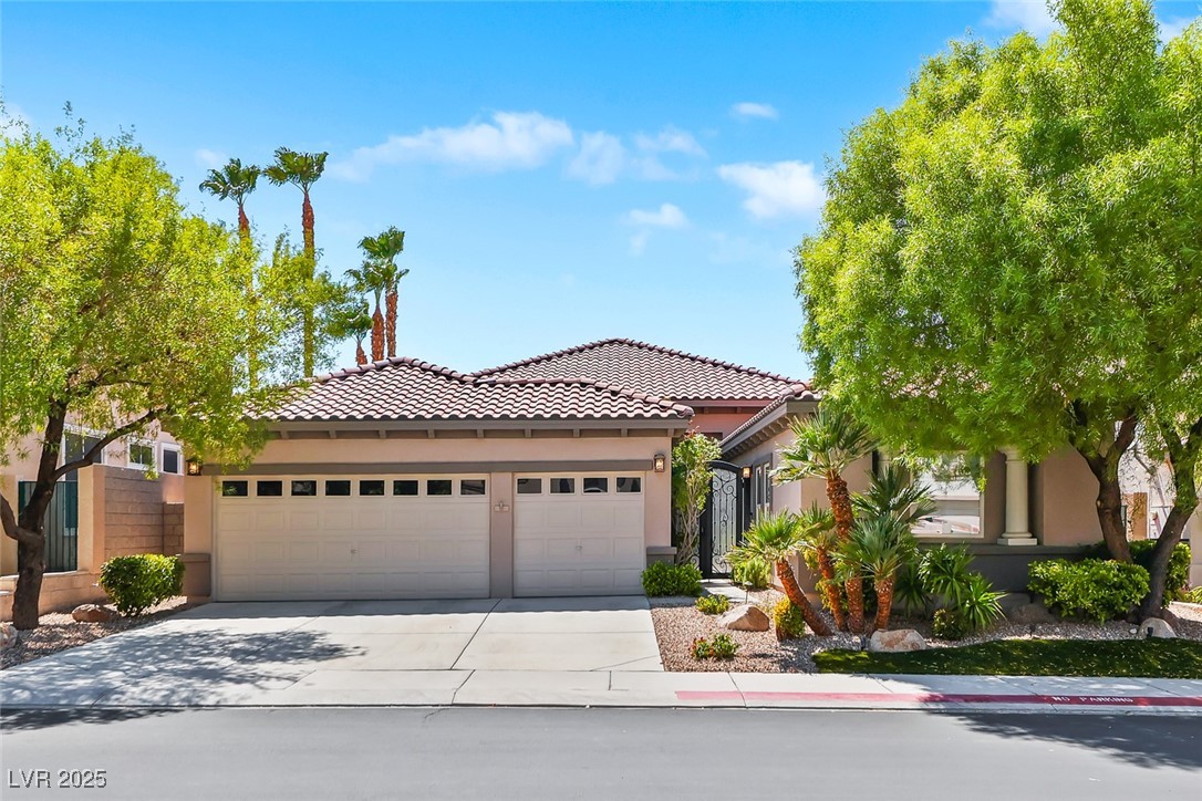 1311 Panini Drive