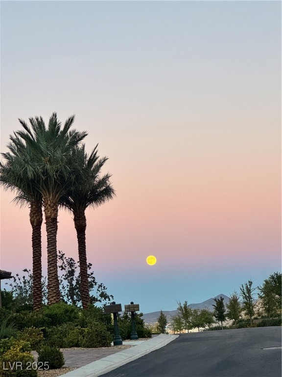 813 White Falcon Street