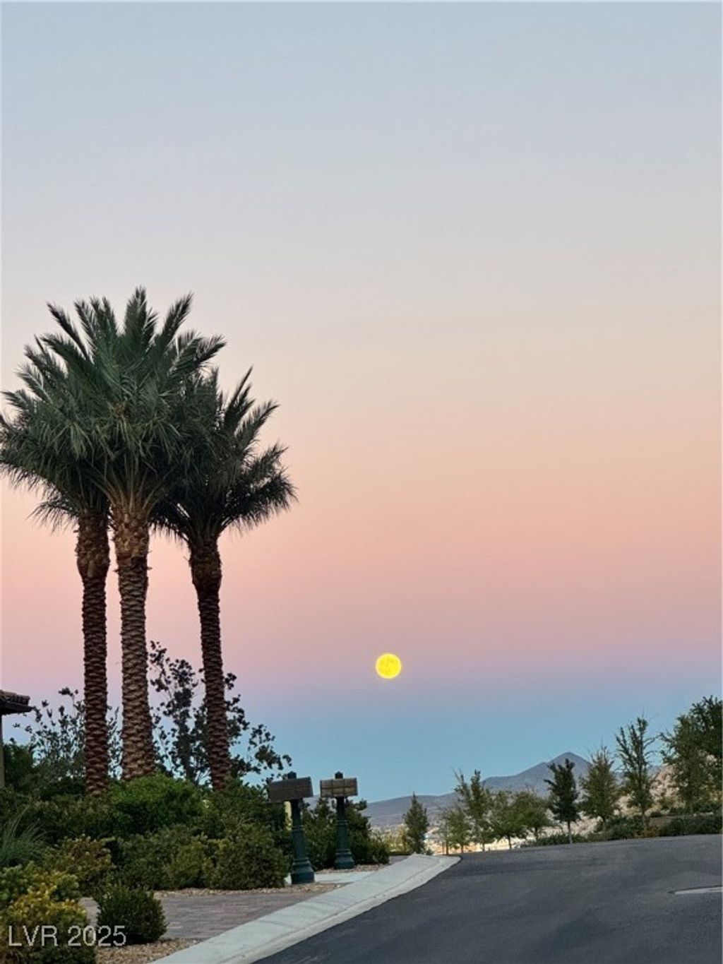 Photo of 813 White Falcon Street, Las Vegas, NV 89144 (MLS # 2731731)